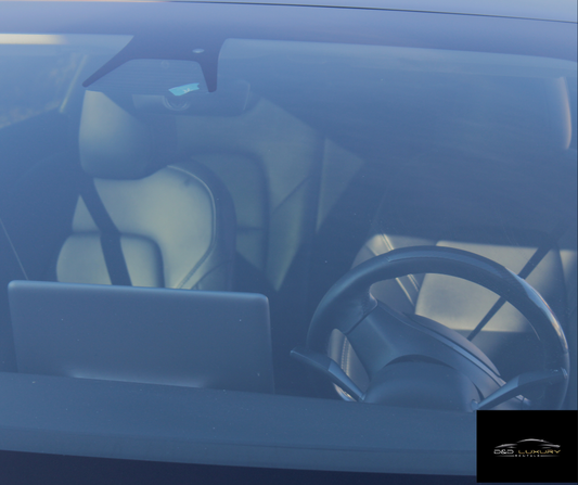 2021 Tesla Model 3 - D&D Luxury Rentals